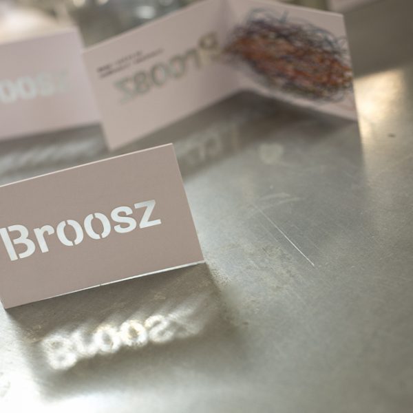 A look into the process of branding Broosz