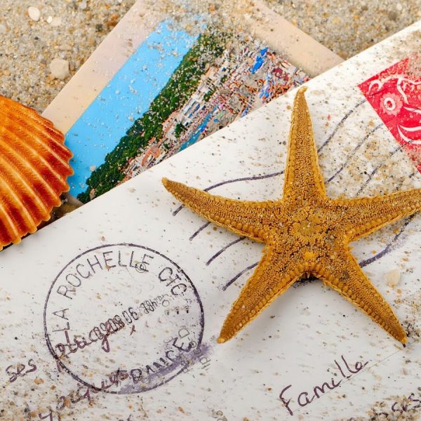 Bereikbaarheid Broosz tijdens zomervakantie!