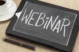 Webinar Nieuw Organiseren met Lenette Schuijt