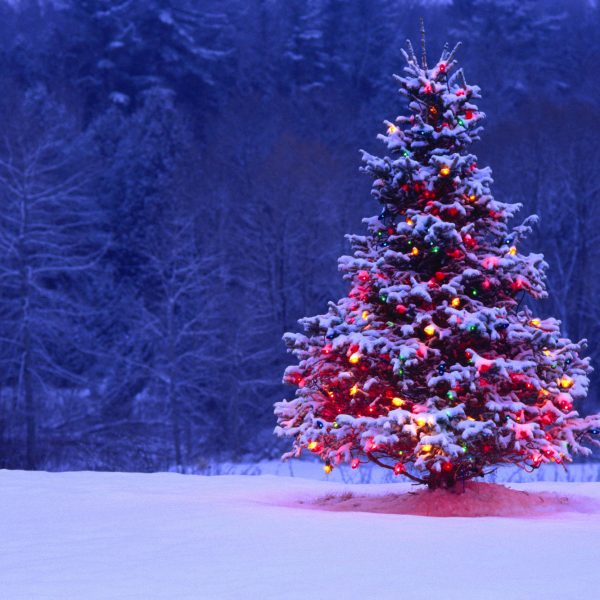 Bereikbaarheid van Broosz tijdens de kerstvakantie