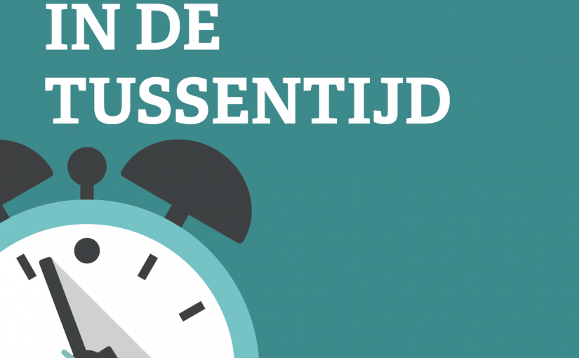Werken volgens de bedoeling? Vakmanschap in ontwikkeling
