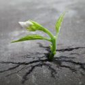 Miniconferentie ‘Rijnlands bestuur en toezicht’ op 10 november